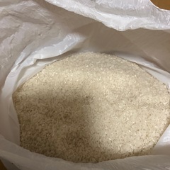 お米  