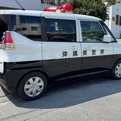 ミックスめだか　1匹　100円の画像