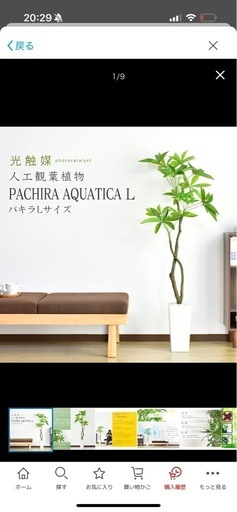 観葉植物　フェイクグリーン