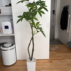 観葉植物　フェイクグリーン