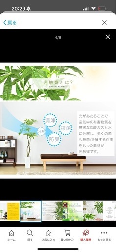 観葉植物　フェイクグリーン