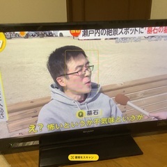 テレビ