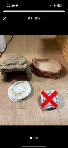 爬虫類飼育セット