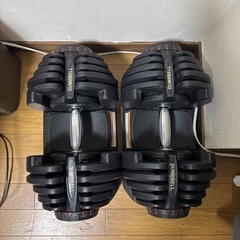 ダンベルセット　40kg x 2