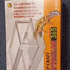 レプティギア365