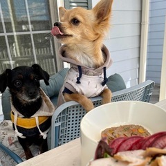 犬友　 − 千葉県