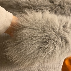 【ほぼ新品】レディースコート（KarLParkLane）の画像
