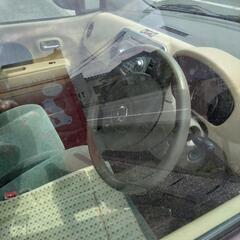 車の画像