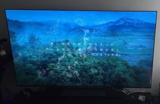 LG 65型テレビ OLED65CXPJA