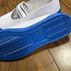 上履き21cmの画像