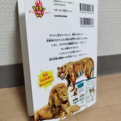 中古美品　科学マンガ　どっちが強い!?　　ライオンVSトラの画像