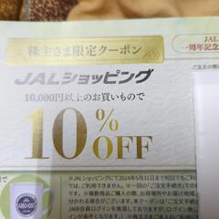 2枚有　JAL 普通席大人普通運賃50%割引の画像