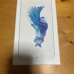 iPhone 6s Silver 空箱