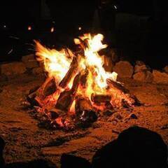 焚き火しませんか？🔥 