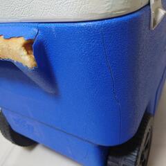 Coleman　クーラーBOXの画像