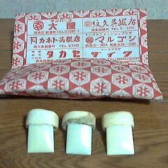 箏爪　天然物　年代物　ケース付き　お琴　お箏　USED