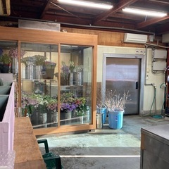 お花の知識がない方でも始めれます!!セレモニー生花装飾 配送スタッフの画像