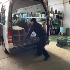 お花の知識がない方でも始めれます!!セレモニー生花装飾 配送スタッフの画像