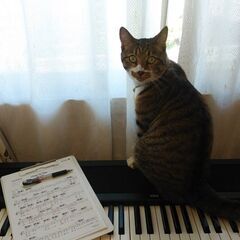 自分の声を好きになるボーカルレッスン！🔰さんWelcome！VoiceLesson教室🐾猫のくつしたの画像