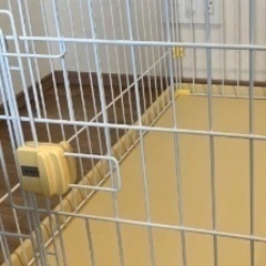 犬用サークル  ゲージの画像