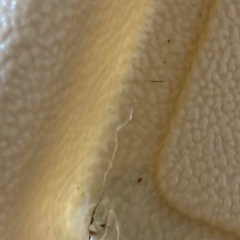 犬用サークル  ゲージの画像