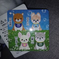【3000円】　新品未使用　豆柴シリーズ♪　しらたま　さすけ　シュガー　セット売り！の画像