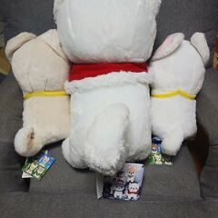 【3000円】　新品未使用　豆柴シリーズ♪　しらたま　さすけ　シュガー　セット売り！の画像