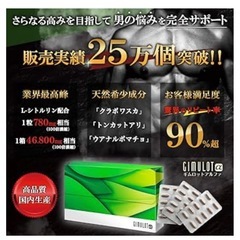 ギムロットアルファ　の画像