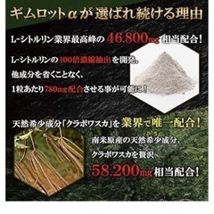 ギムロットアルファ　の画像