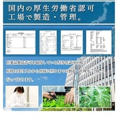 ギムロットアルファ　の画像