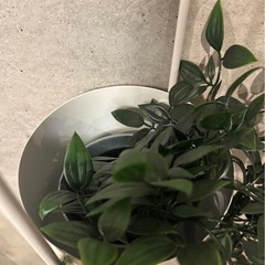 IKEA 造花　草の画像