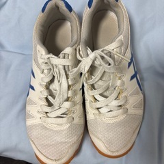 ASICS体育館シューズ 23cm 美品の画像