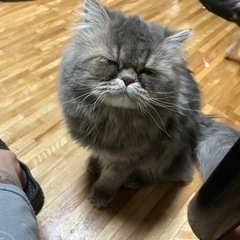 御家族様決まりました。ありがとうございました。