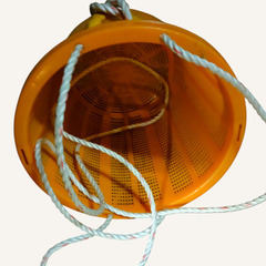 《引取限定》果物収穫カゴ 2個setの画像