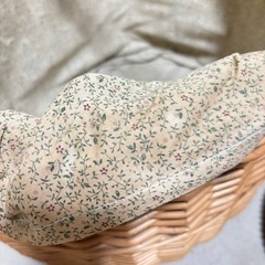 至急‼️大きめ　かごの画像