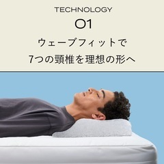 ブレインスリープピローの画像