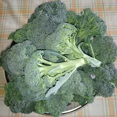 朝採り野菜！無料！02/25