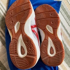 体育館シューズ　24cm　の画像