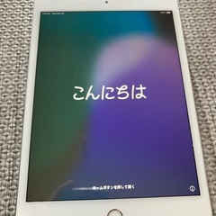 iPad mini5　Wi-Fi + Cellular