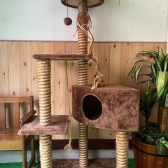 【お譲り先が決まりました】キャットタワー＋ハウス2つ