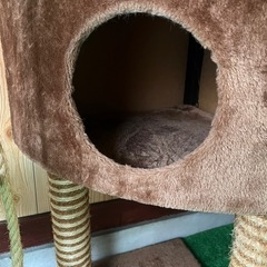 【お譲り先が決まりました】キャットタワー＋ハウス2つの画像