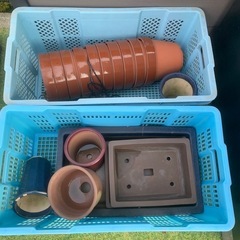 盆栽鉢