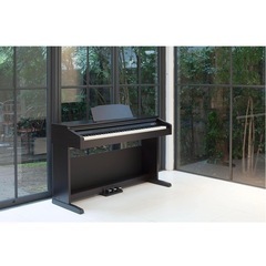 Roland RP30 定価75,800円 ほぼ未使用の画像