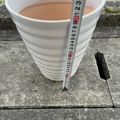 白い陶器の鉢