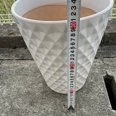 白い陶器の鉢