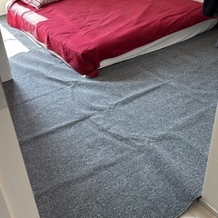 カーペット (kāpetto)room carpet