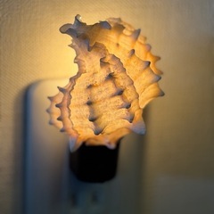 【お渡し決定】お値下げしました‼️シェルのランプ　直接コンセントに差込ますの画像