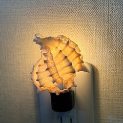 【お渡し決定】お値下げしました‼️シェルのランプ　直接コンセントに差込ますの画像