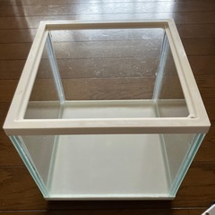 小さい水槽