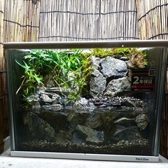 水の流れる滝テラリウム水槽